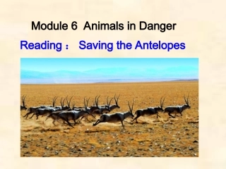 Saving_the_Antelopes