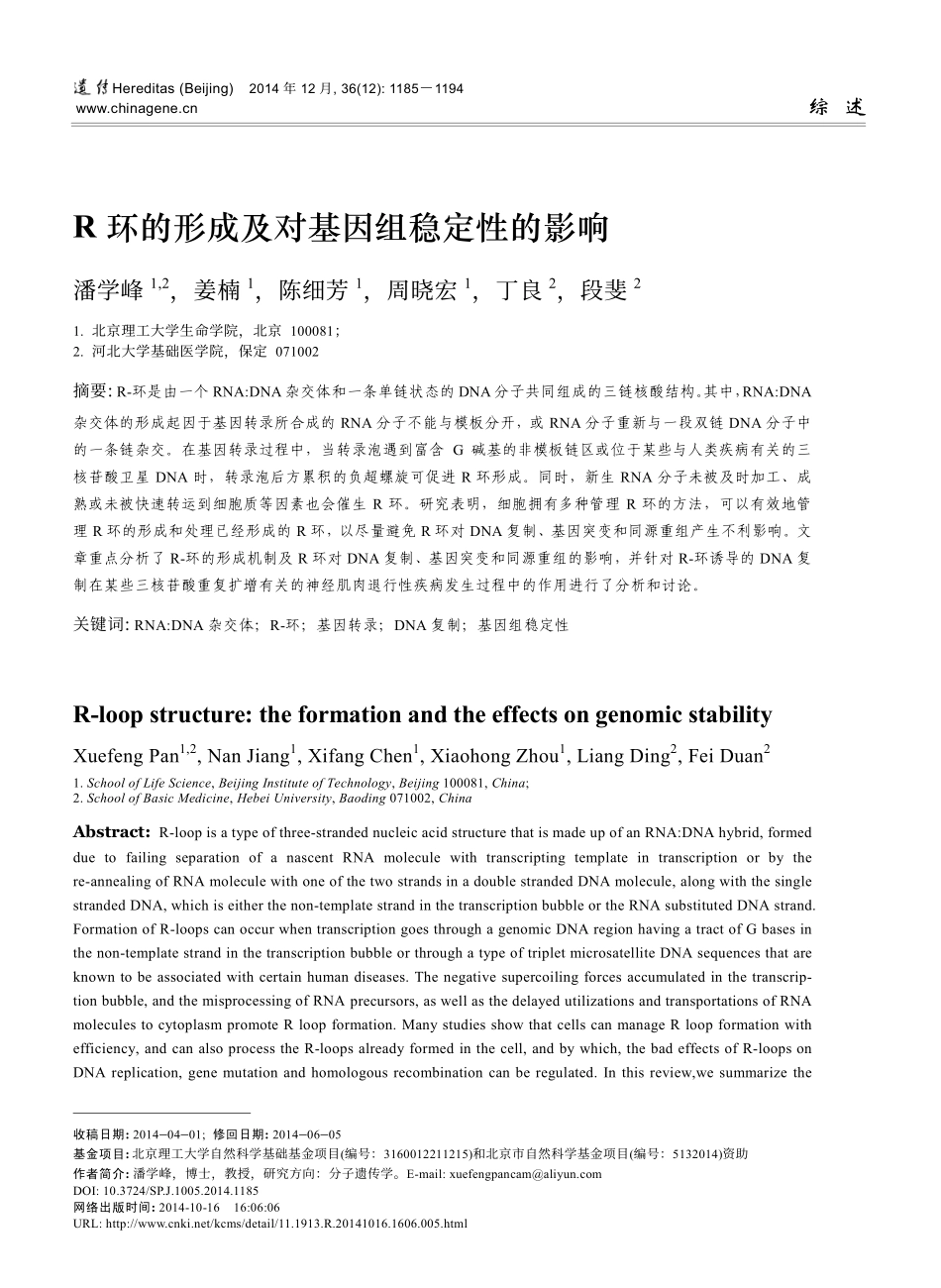 R环的形成及对基因组稳定性的影响_第1页