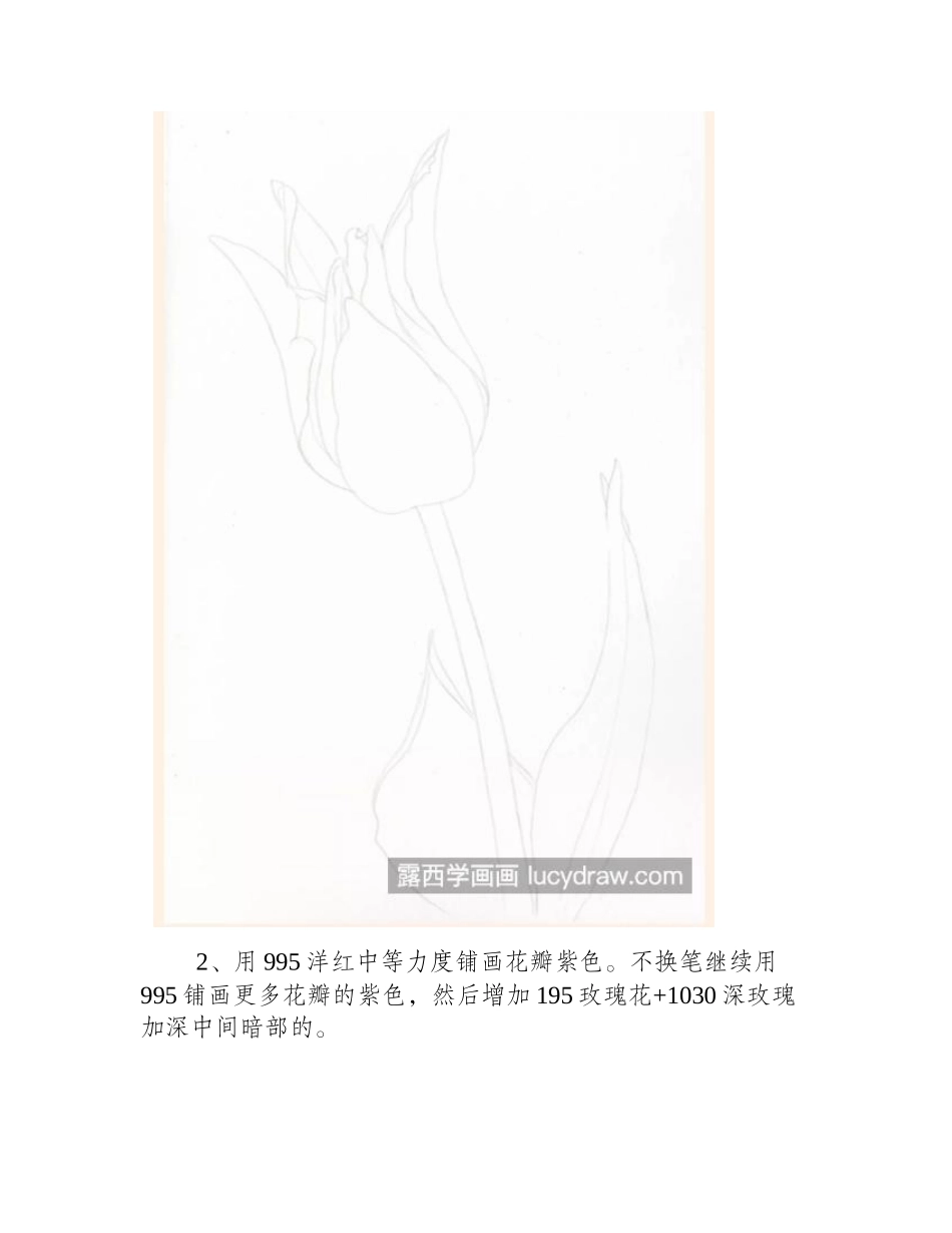 紫色郁金香怎么画_教你画一只盛开的郁金香彩铅画教程_第2页