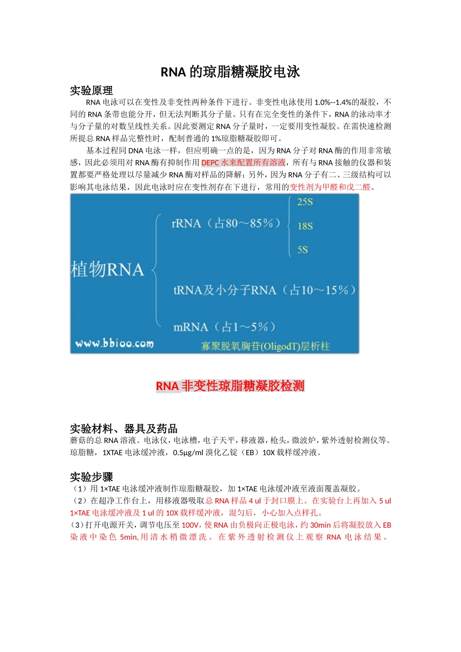 RNA的变性电泳原理_第1页