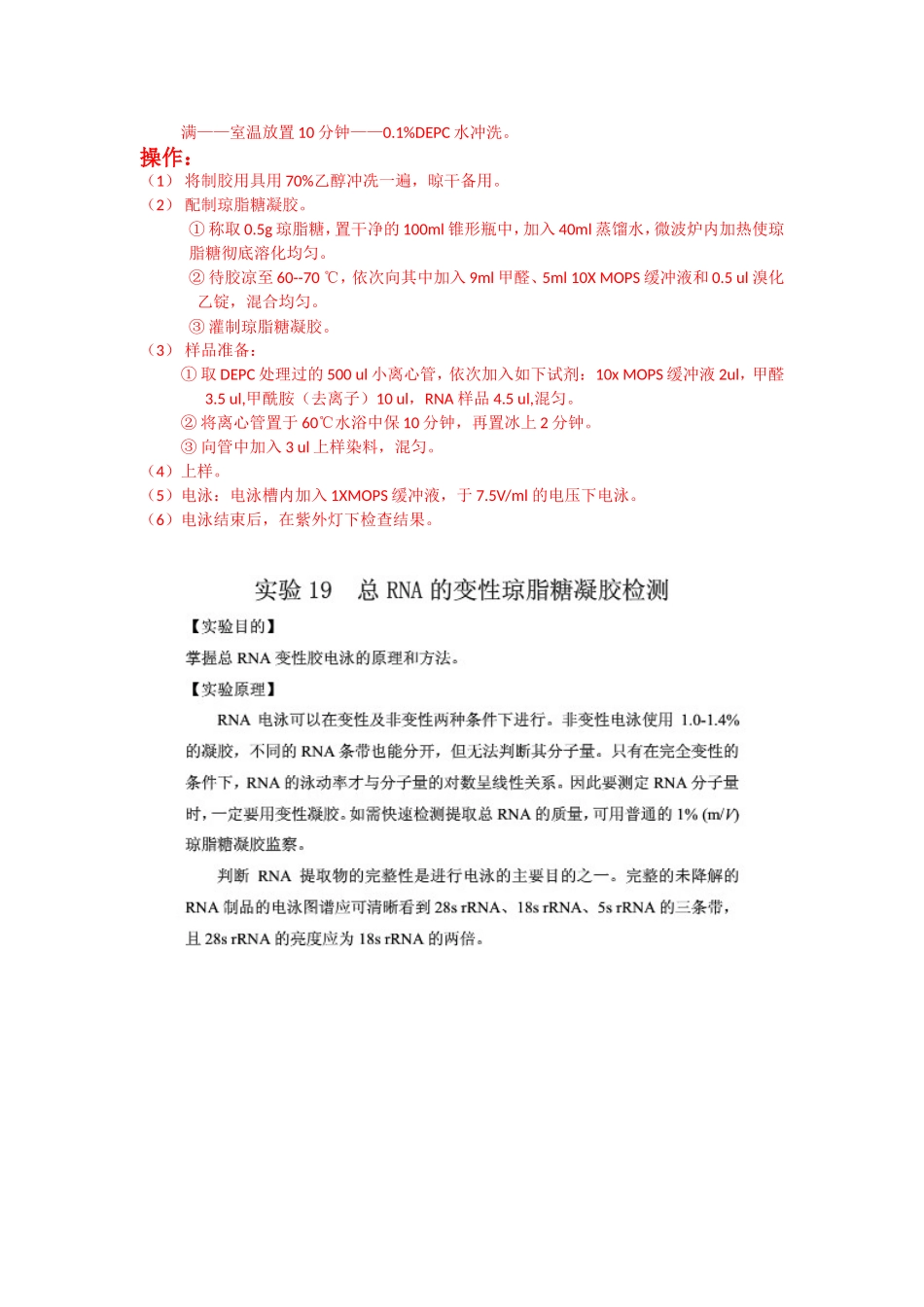 RNA的变性电泳原理_第3页