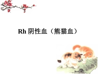 Rh阴性血型有关知识分析