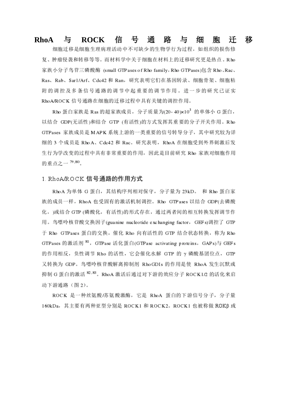 RhoA与ROCK信号通路与细胞迁移_第1页