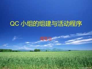 QC小组的组建与活动程序