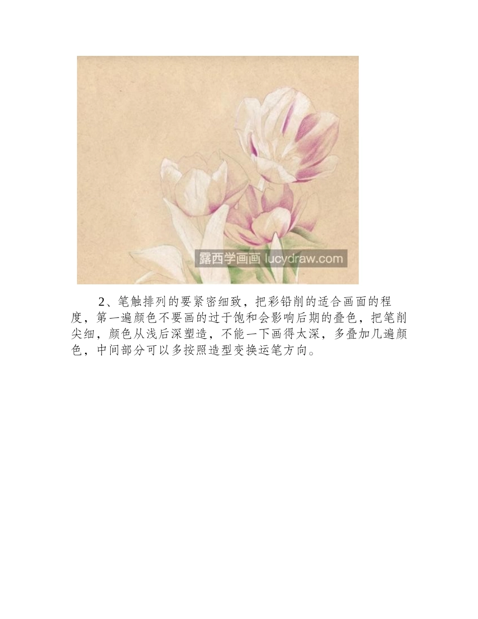 郁金香怎么画_绘画步骤有几步_彩铅画教程_第2页