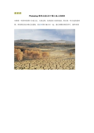PS简单合成长在干裂土地上的树林