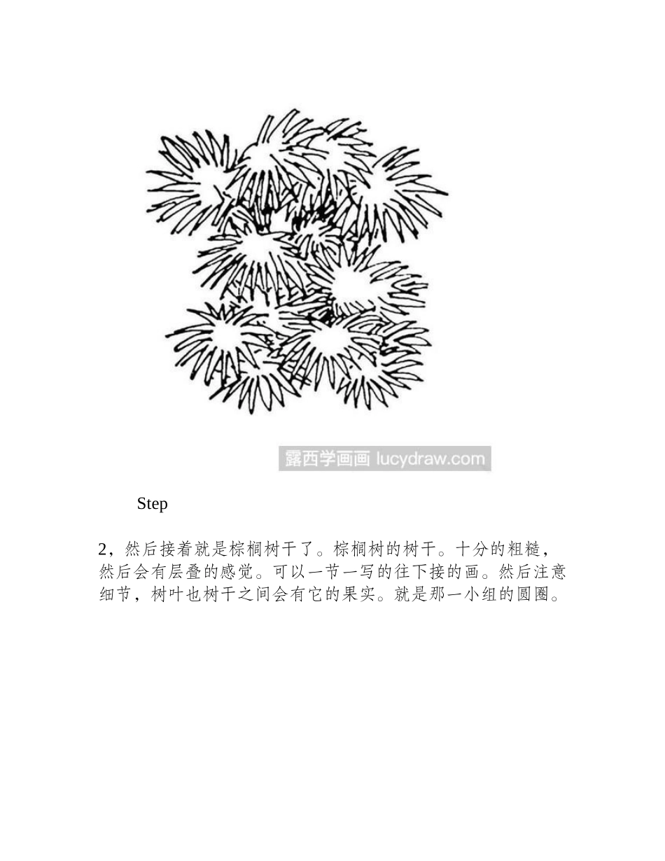 棕榈树怎么画钢笔画教程_第2页