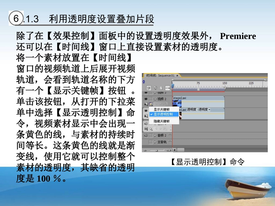Premiere_特效效果_第3页