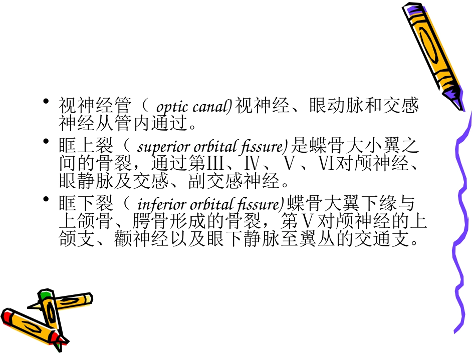 ppt_眼眶病_第3页