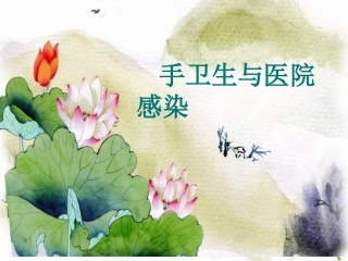 PPT3-手卫生与医院感染