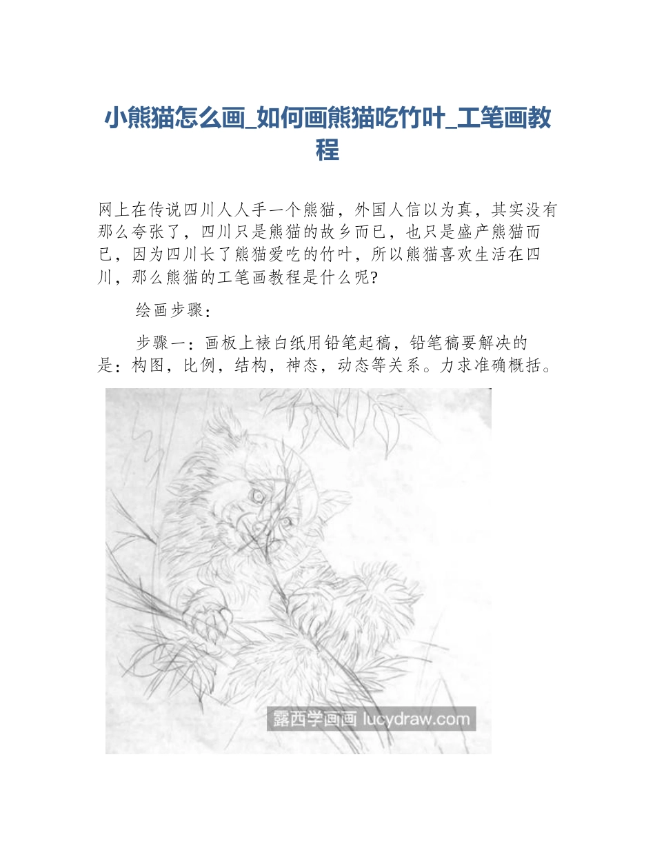 小熊猫怎么画_如何画熊猫吃竹叶_工笔画教程_第1页