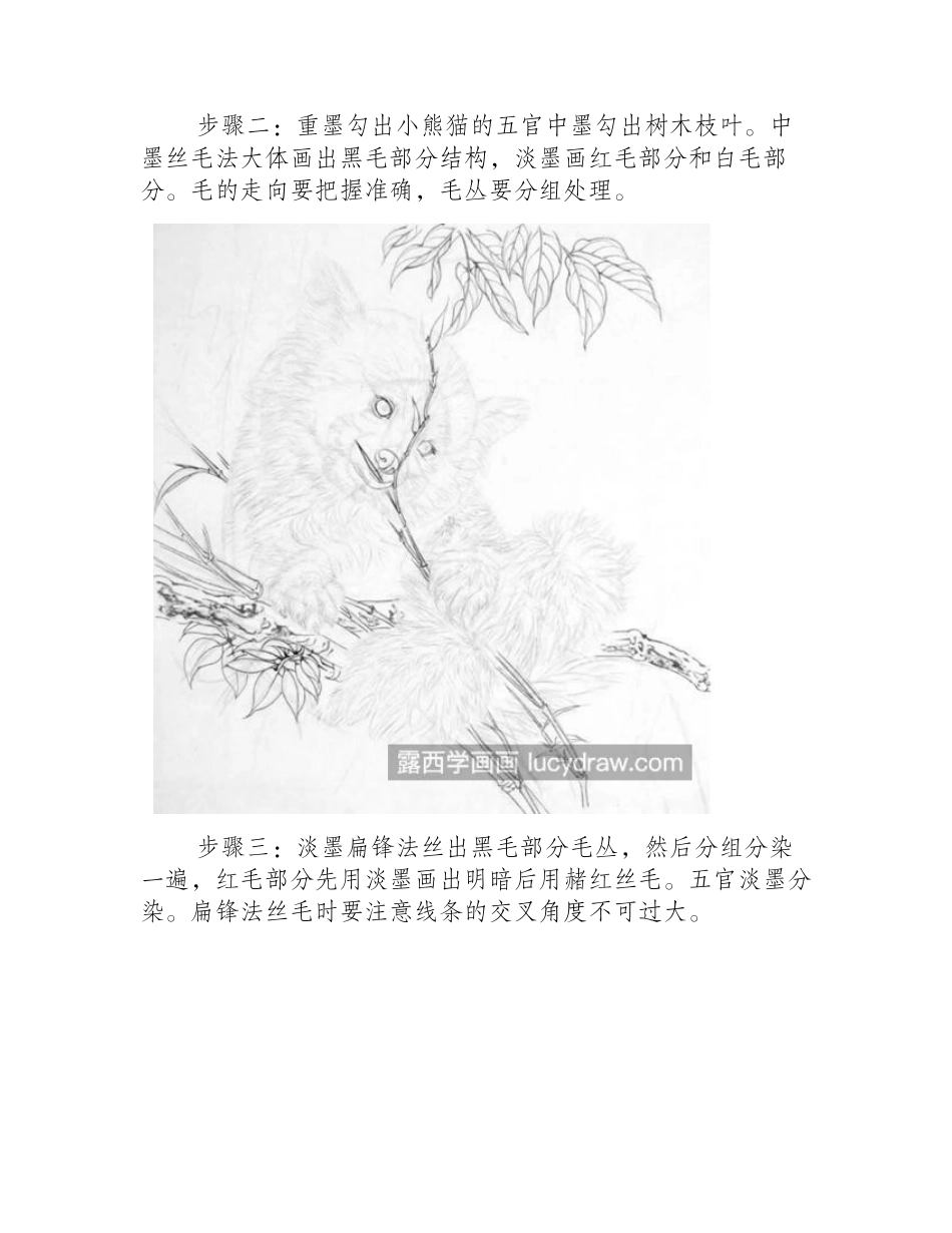 小熊猫怎么画_如何画熊猫吃竹叶_工笔画教程_第2页