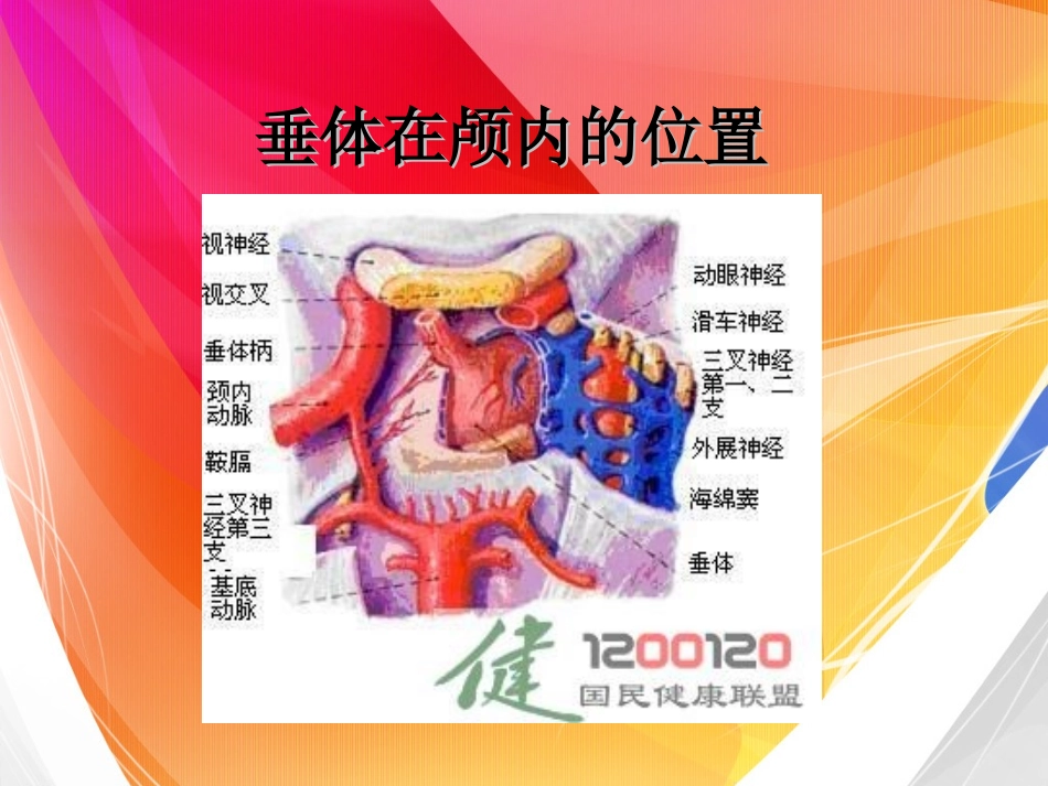 PPT-垂体瘤精讲_第3页