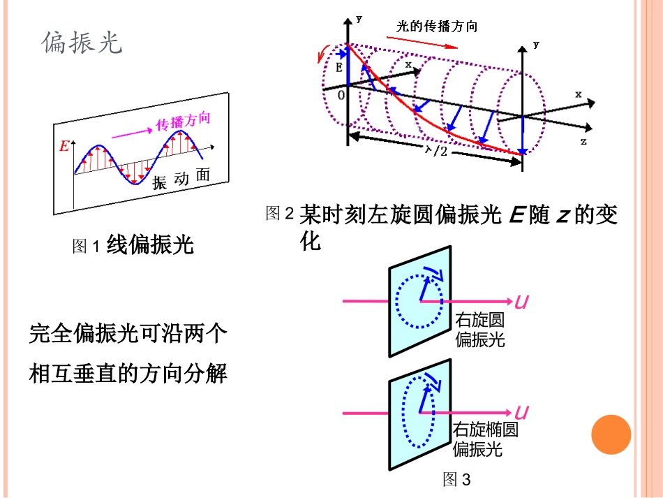 POTDR原理技术_第2页