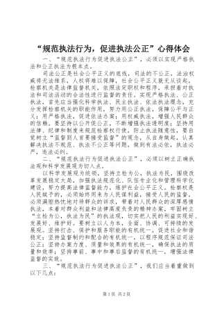 “规范执法行为，促进执法公正”心得体会
