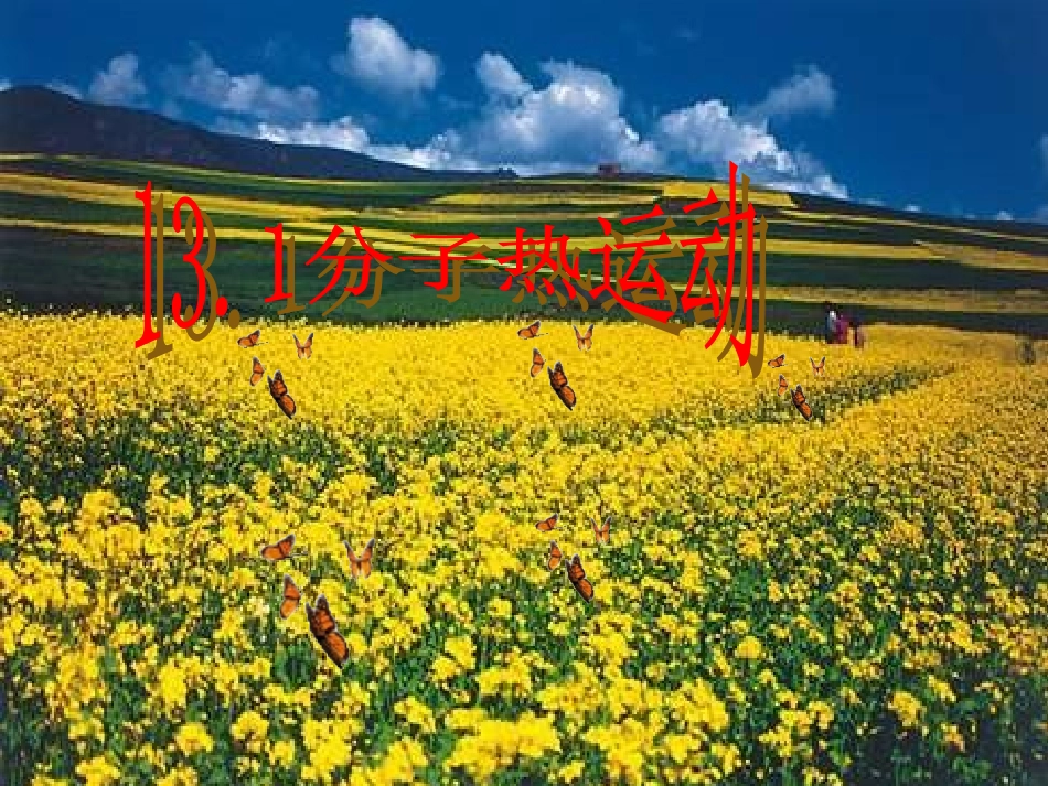 13.1分子热运动-2_第2页
