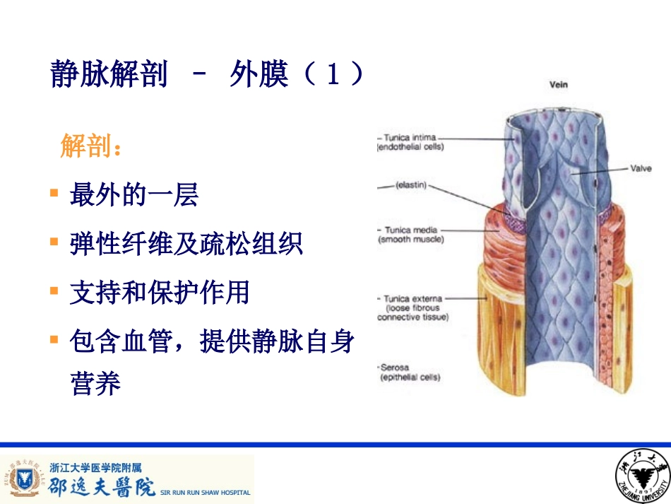 PICC导管相关性血栓形成及处理_第2页