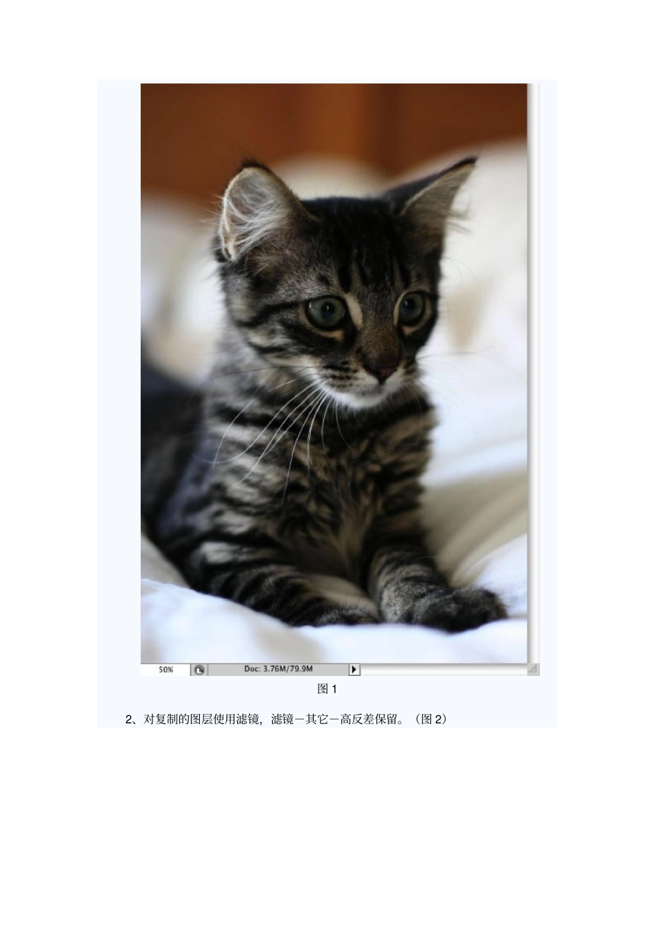 photoshop高反差保留调整照片清晰度_第2页