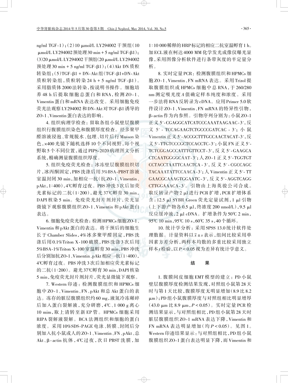 PI3K_Akt信号调节腹膜间皮细胞上皮-间充质转分化_第3页