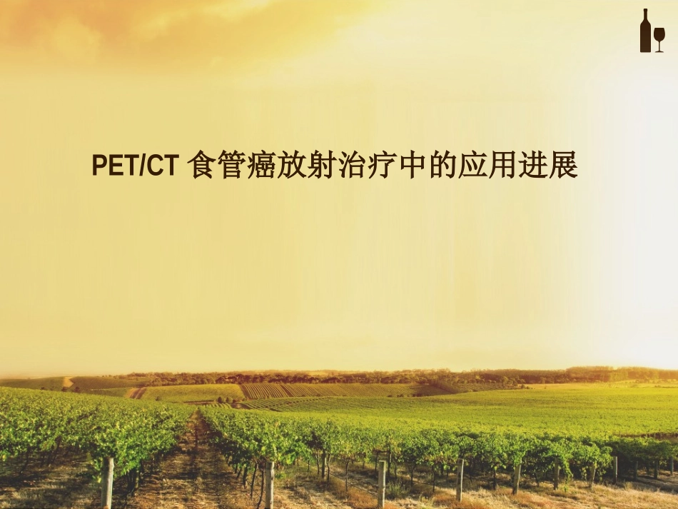 PET-CT在食管癌放疗中的进展_第1页