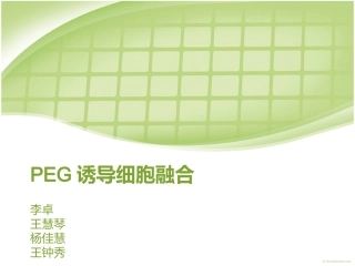 PEG诱导细胞融合