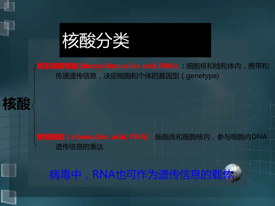 PCR的原理和应用-2011_第3页