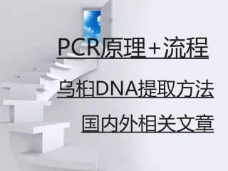 PCR与DNA提取一般方法