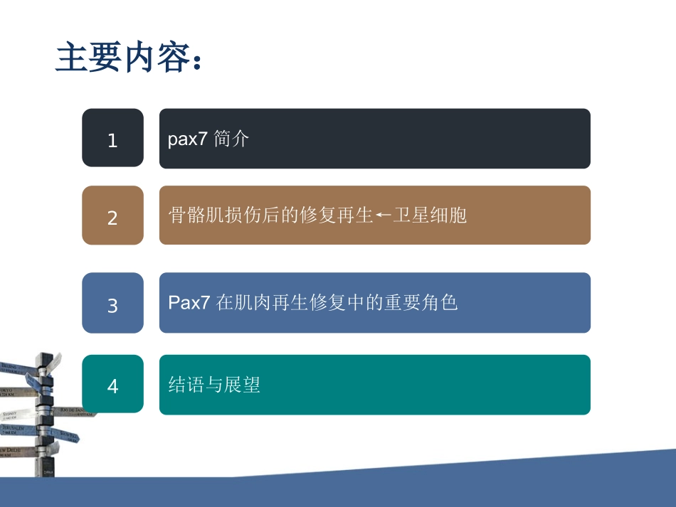 PAX7对肌肉损伤修复的重要作用_第2页
