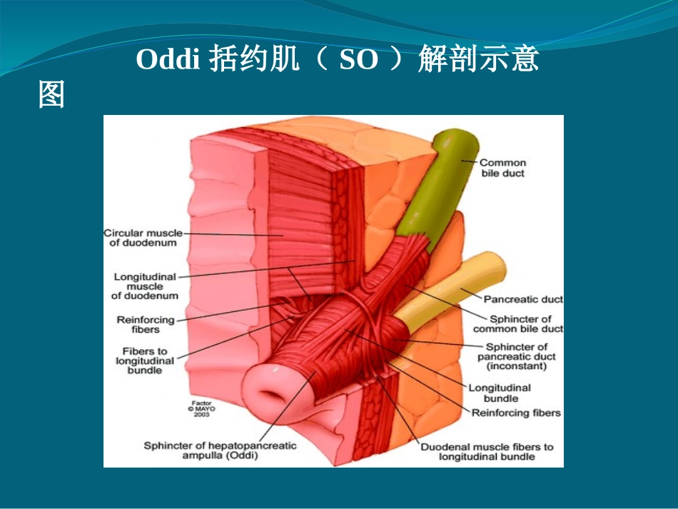 Oddi括约肌运动功能障碍_第2页