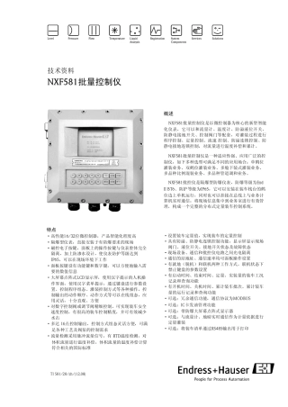 NXF581批量控制仪