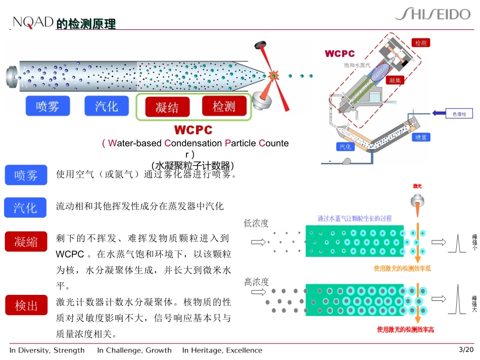 NQAD检测原理及应用_第3页