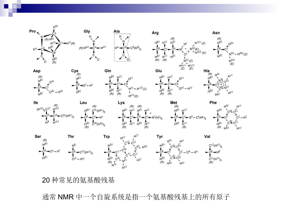 NMR方法解析蛋白质结构_第3页