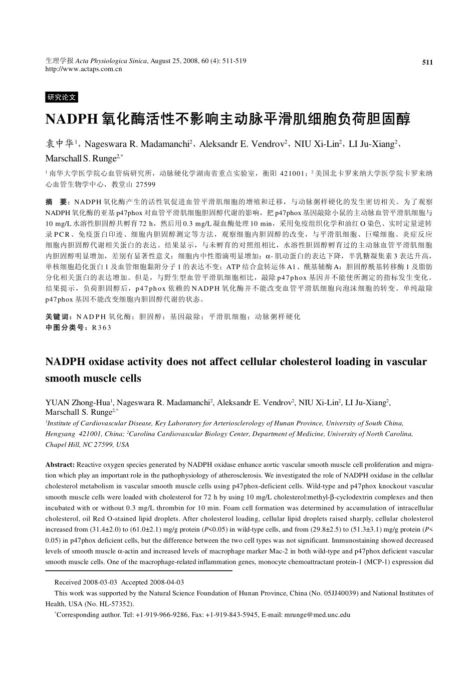 NADPH氧化酶活性不影响主动脉平滑肌细胞负荷胆固醇_第1页