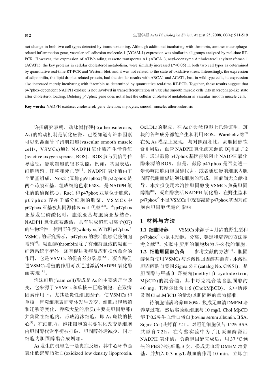 NADPH氧化酶活性不影响主动脉平滑肌细胞负荷胆固醇_第2页