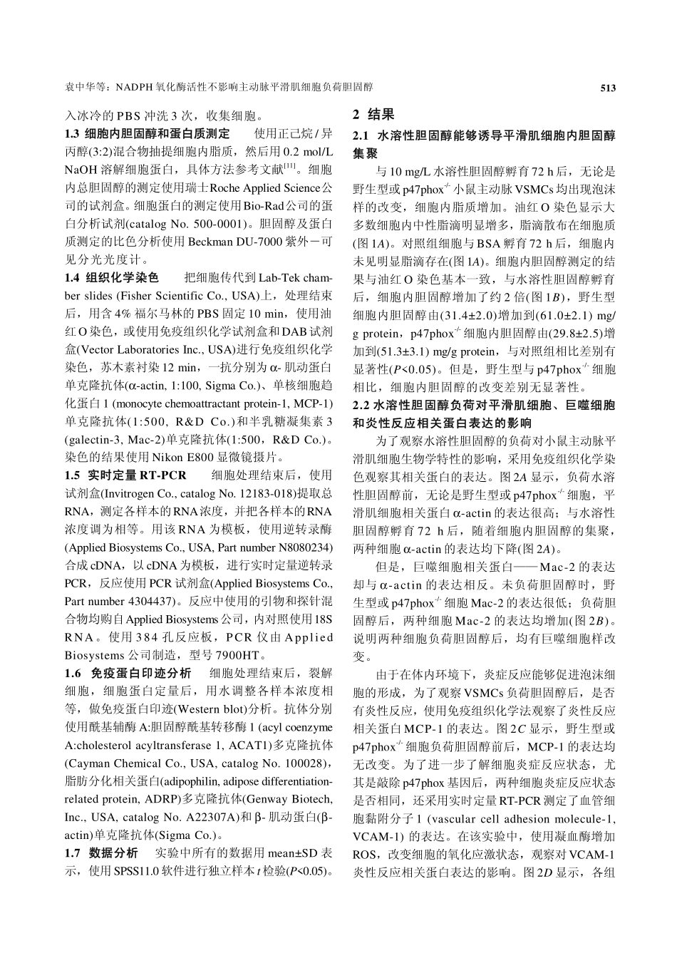 NADPH氧化酶活性不影响主动脉平滑肌细胞负荷胆固醇_第3页