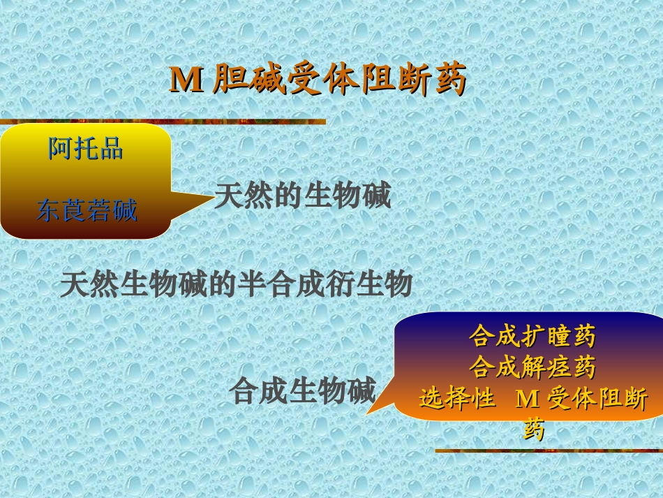 M胆碱受体阻断药(ZHT)_第2页