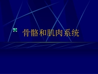 MRI骨骼和肌肉系统-影像FTP