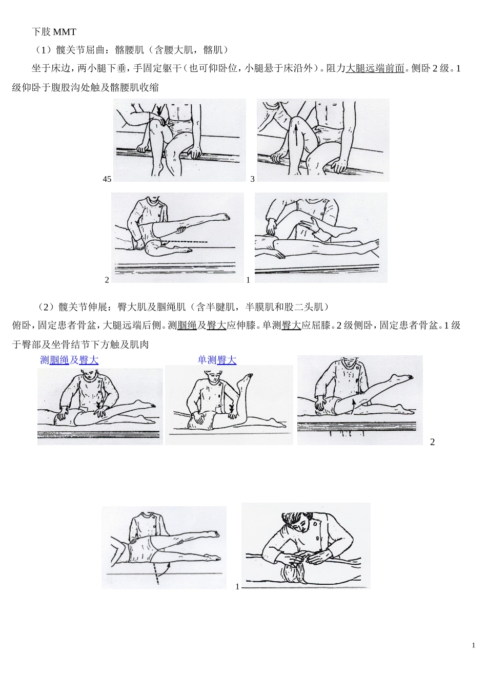 MMT下肢主要肌肉_第1页