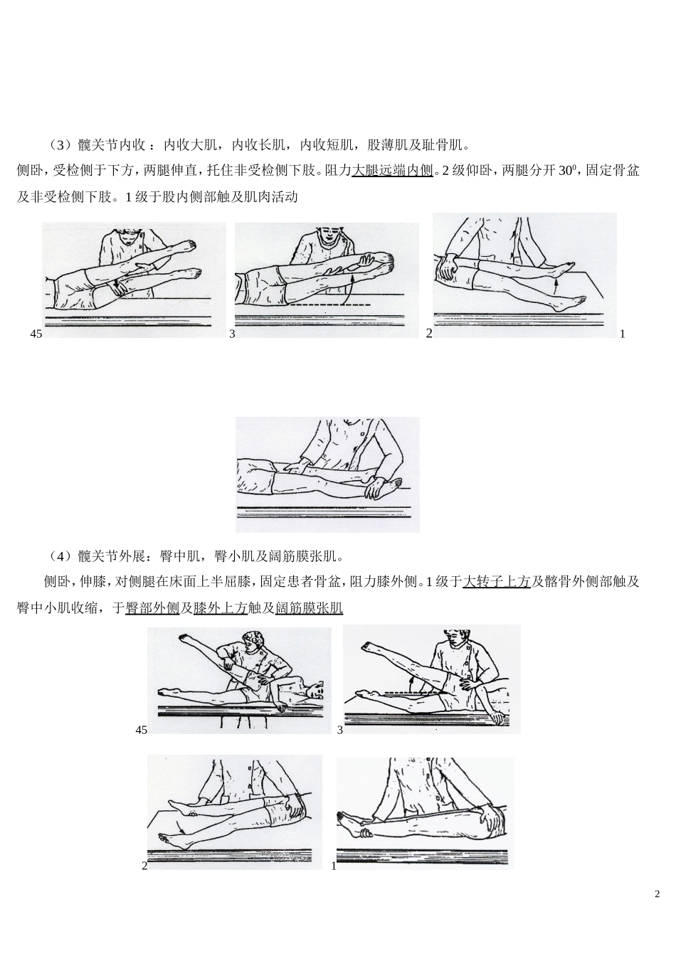 MMT下肢主要肌肉_第2页