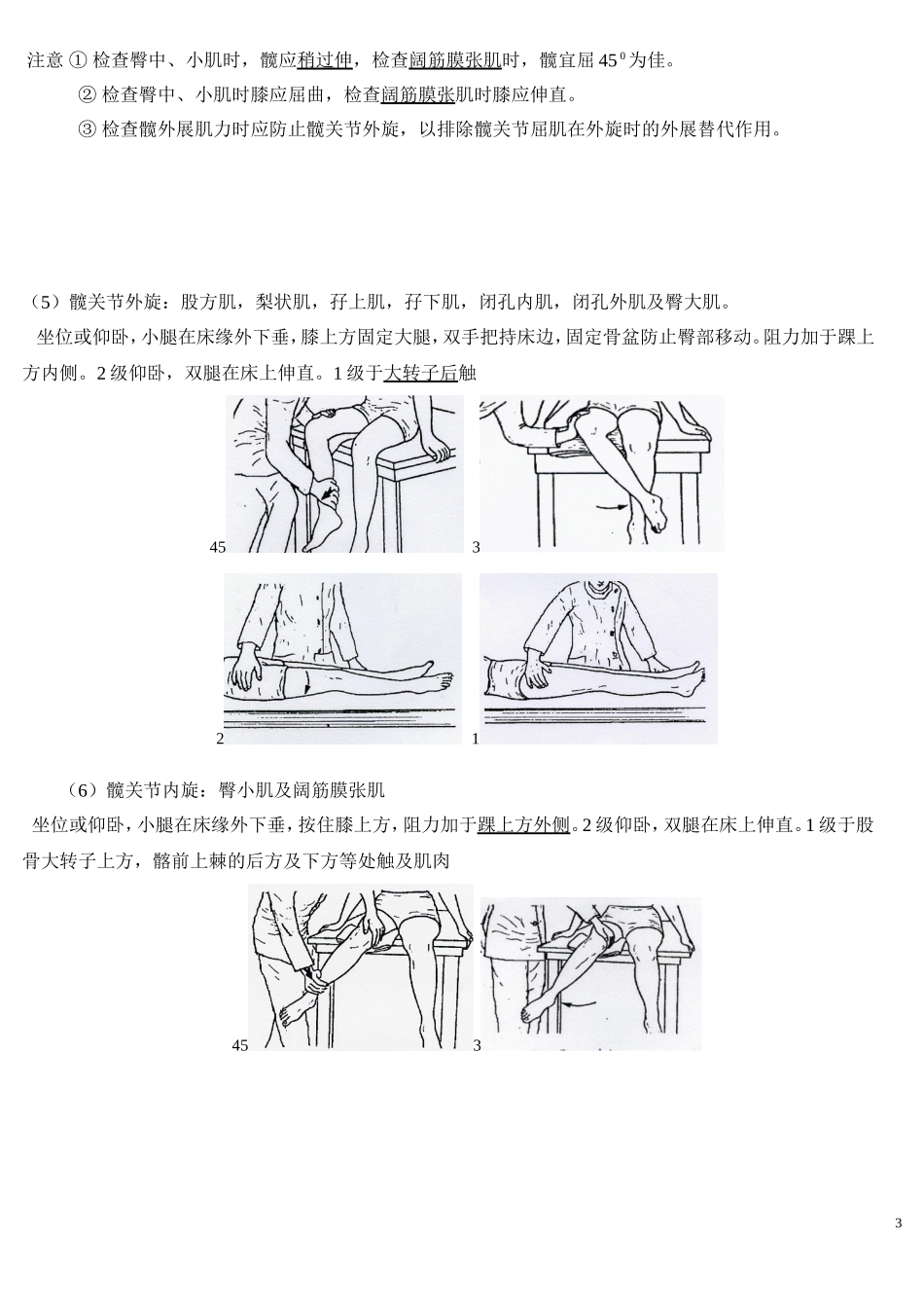 MMT下肢主要肌肉_第3页