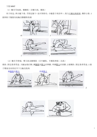 MMT下肢主要肌肉