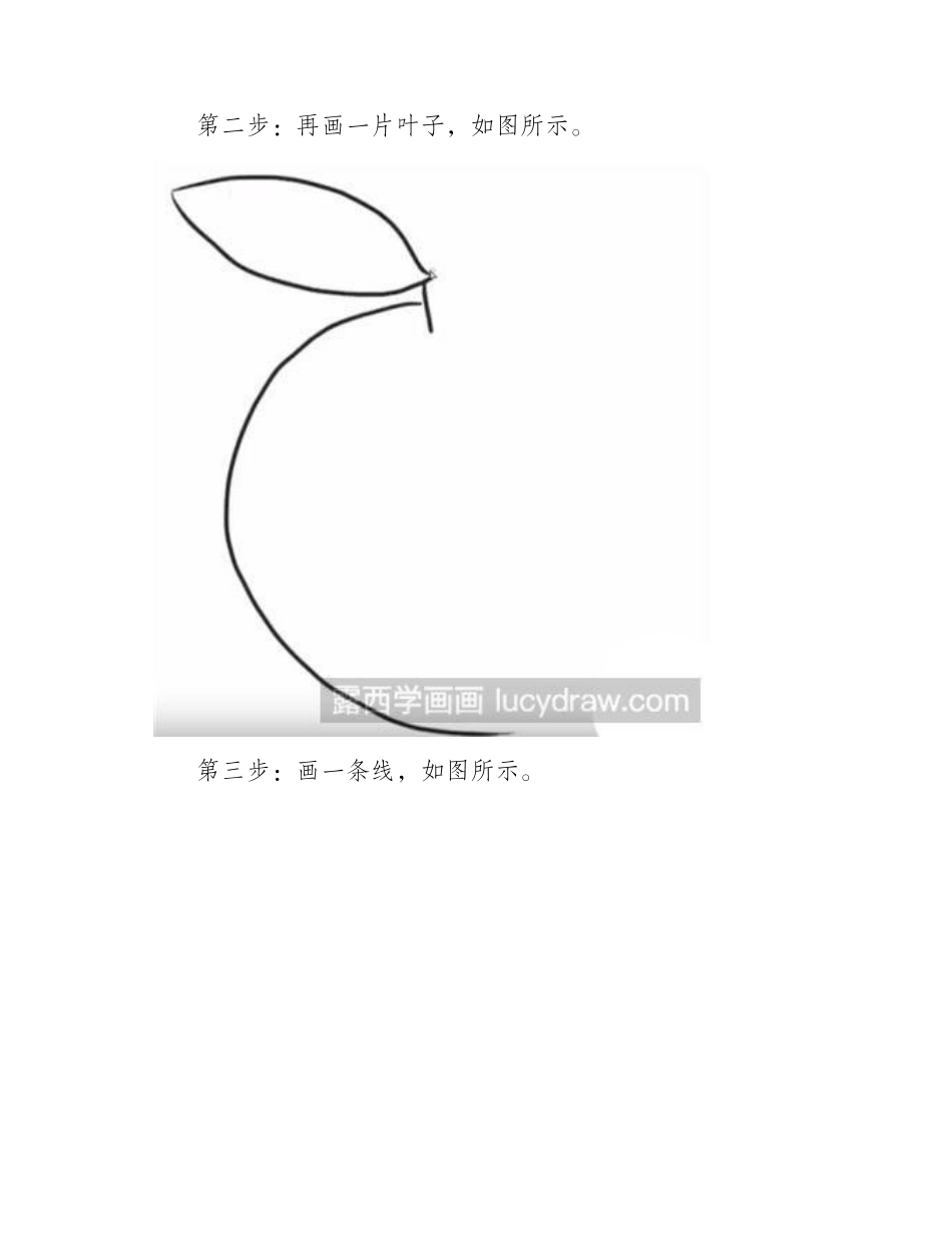 怎么绘制简笔画橙子教程简笔画教程_第2页