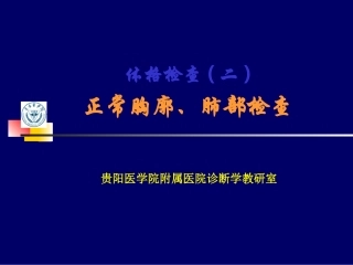 lq--胸肺检查实习