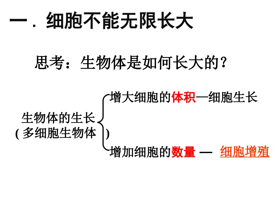 llm细胞增殖_第2页