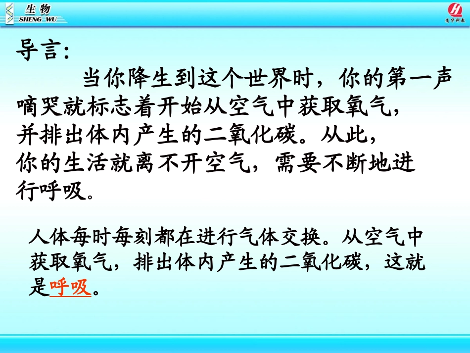 likun呼吸道对空气的处理(1)_第2页