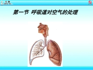 likun呼吸道对空气的处理(1)
