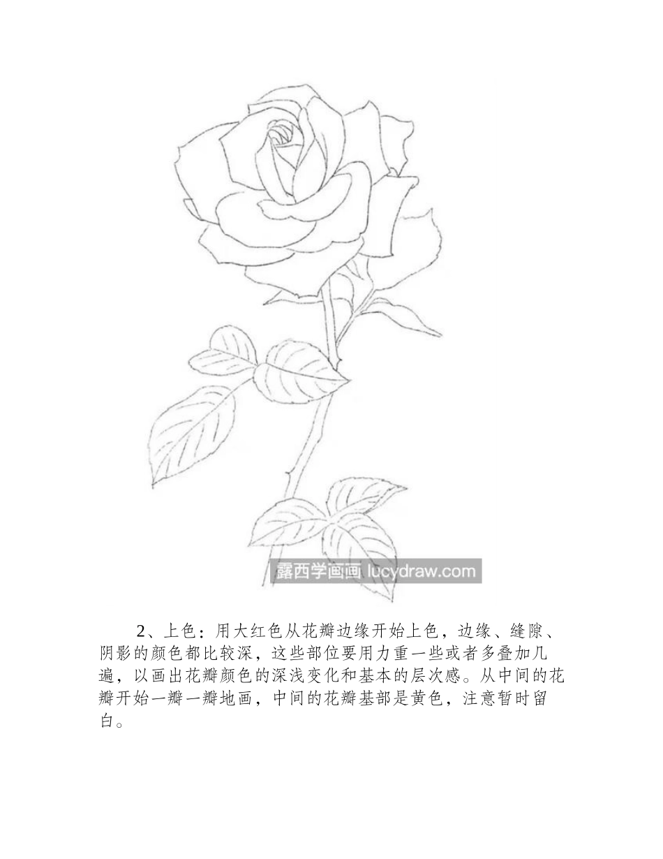 月季花怎么画_如何画同色系的渐变_儿童画教程_第2页