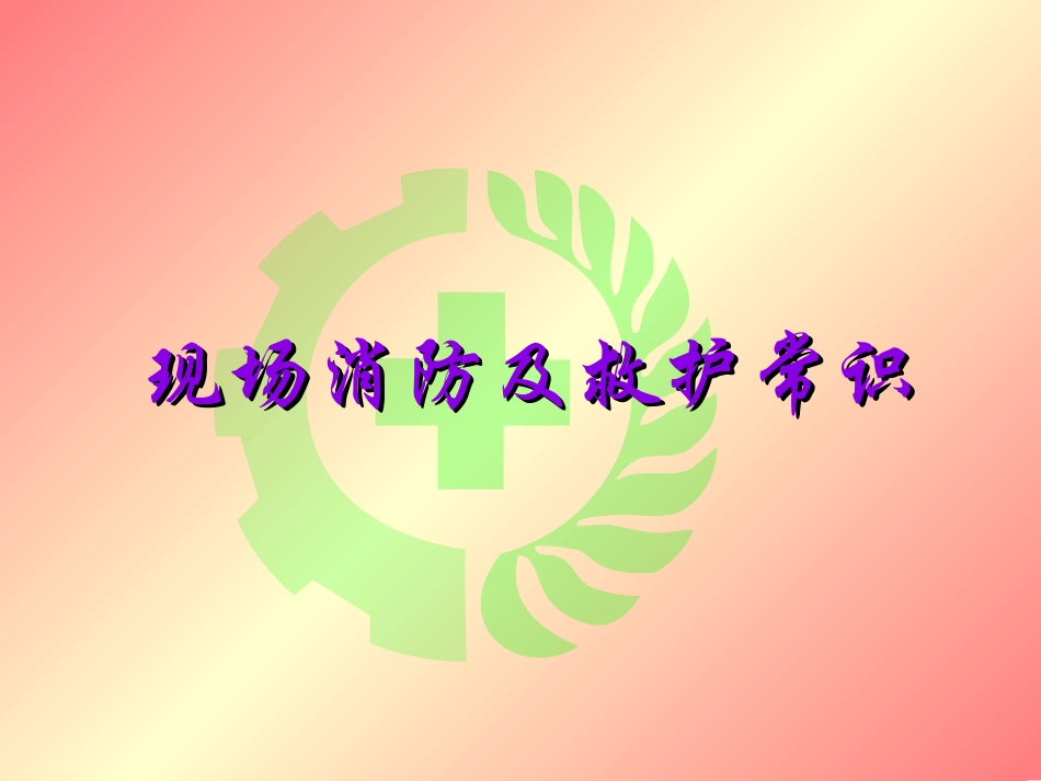 K0212现场消防及救护常识0_第1页