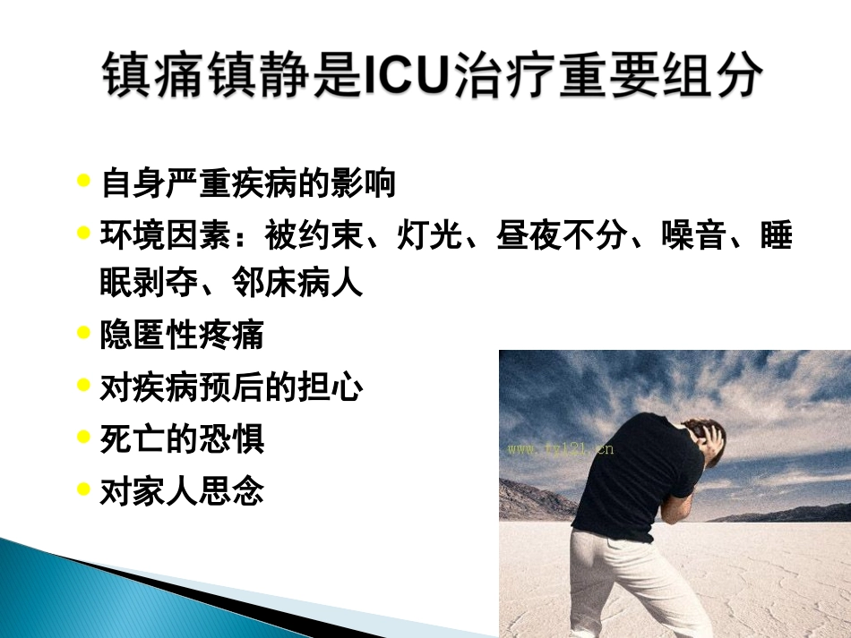 ICU镇痛镇静指南2012_第2页