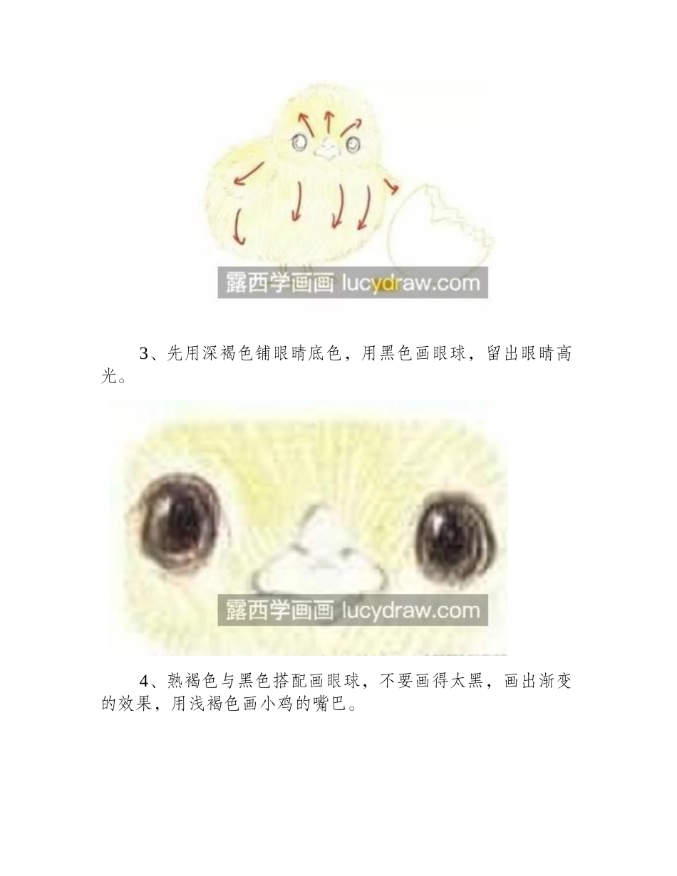 小雏鸡怎么画_彩铅小鸡的画法步骤有哪些_彩铅画教程_第2页